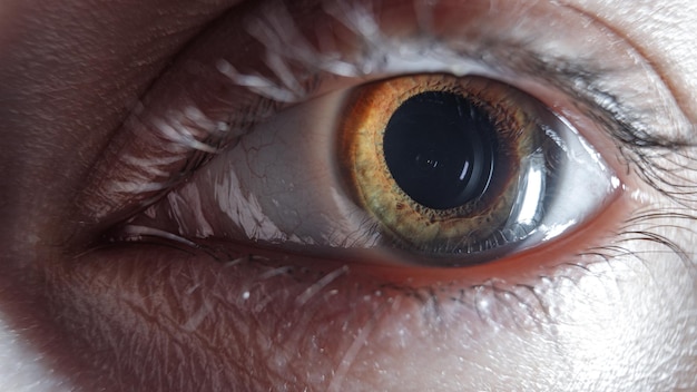 Verde con l'occhio giallo di una ragazza in cui si riflette l'obiettivo della fotocamera foto macro