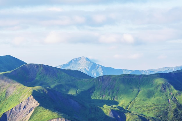 verde delle colline