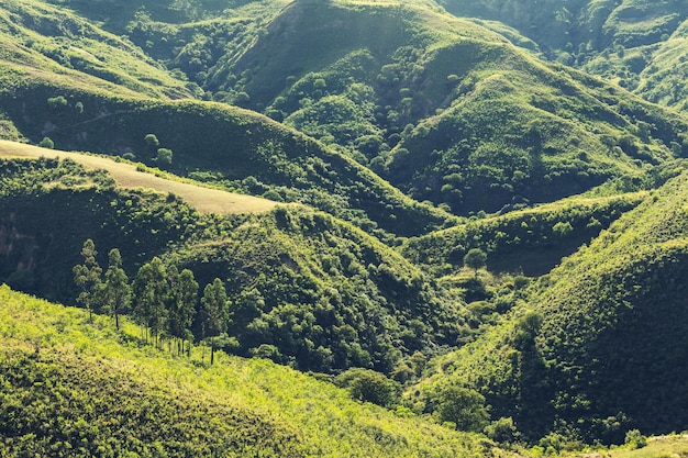 verde delle colline