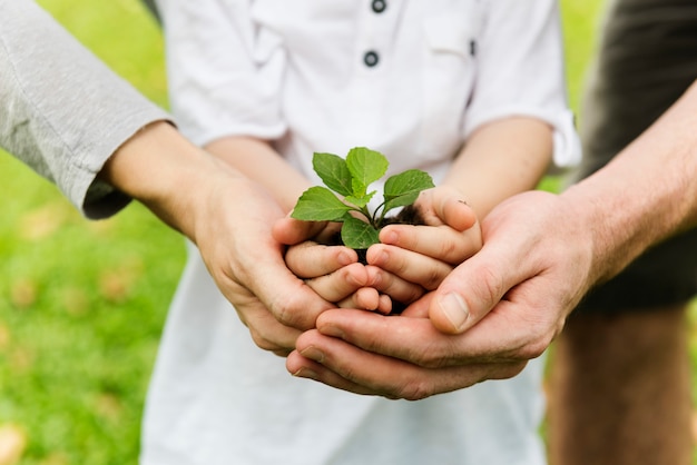 Verde di giardinaggio del bambino che cresce svago