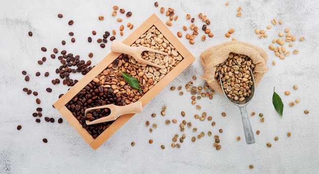 Verde e marrone decaffeinato non tostato e chicchi di caffè tostati scuri in scatola di legno con misurini installati su sfondo di cemento bianco.