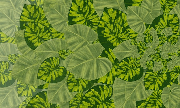 Verde foglie tropicali disegno a mano carta da parati modello sfondo natura