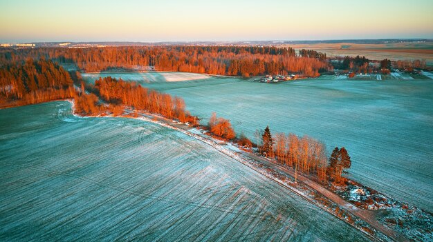 Verde invernale Campo agricolo colture invernali sotto la neve. Alberi colorati dicembre tramonto scena aerea. Strada sterrata rurale. Vista dall'alto della campagna. Regione di Minsk, Bielorussia