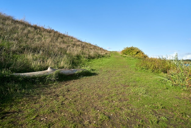 Verde sentiero collinare e cielo blu sullo sfondo.