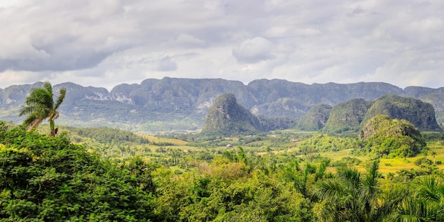 Verde valle caraibica con piccole case cubane e colline mogotes panorama Vinales Pinar Del Rio Cuba