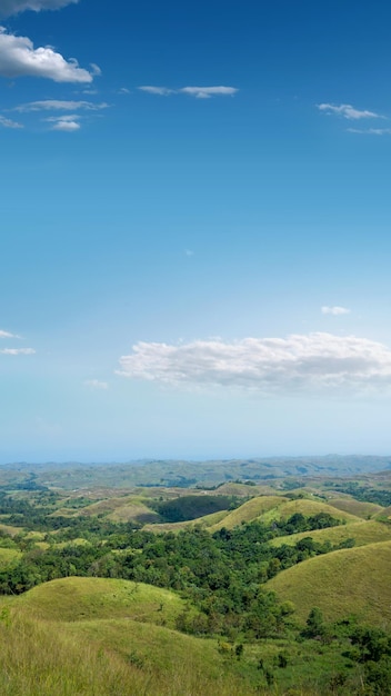 Verdi colline con vista panoramica