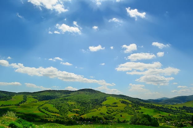 Verdi colline dell'Ucraina