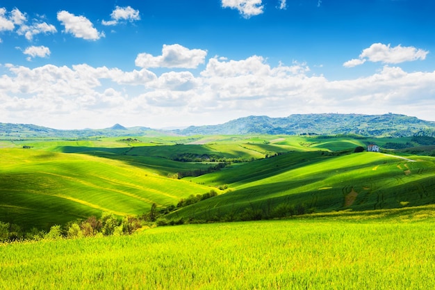 Verdi colline in Toscana, Italia. Bellissimo paesaggio estivo.