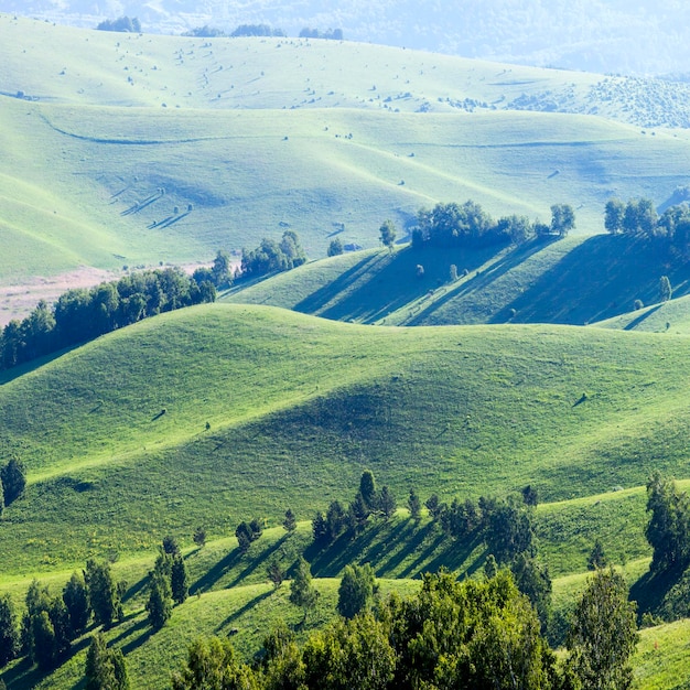 Verdi colline prati e alberi Giornata di sole estivo campagna