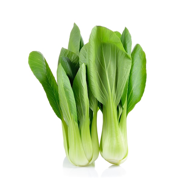 Verdura di bok choy isolata