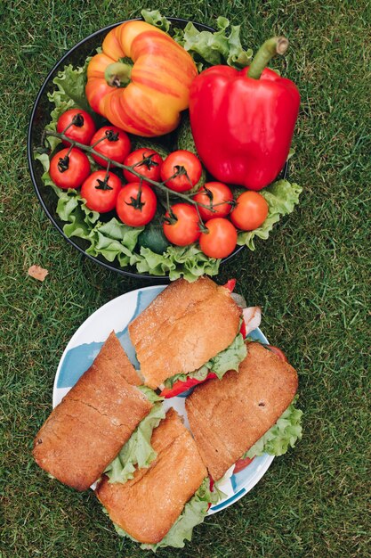 Verdura organica fresca appetitosa e panino saporito sul piatto circondato dal prato dell'erba verde