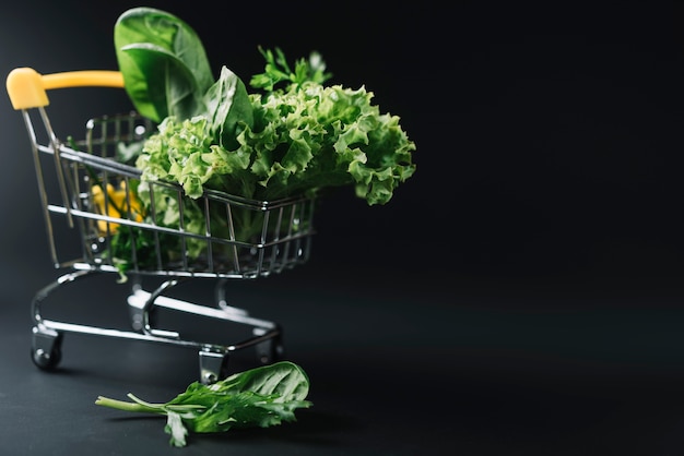 Verdure a foglia verde fresche nel carrello su sfondo scuro