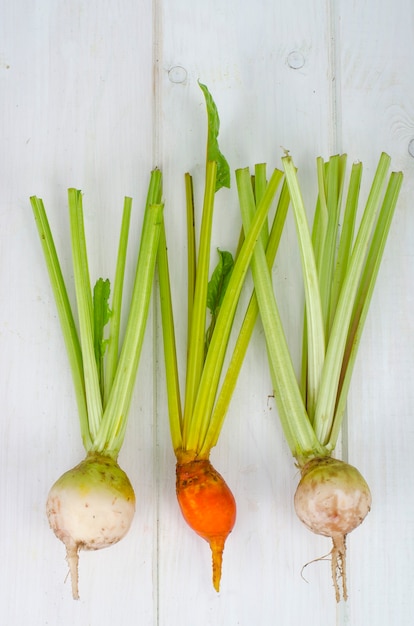 Verdure, barbabietole di diversi colori.