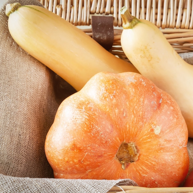 Verdure biologiche Zucca Carota Zucca Butternut e Rapa in cestino Concetto autunnale Immagine quadrata