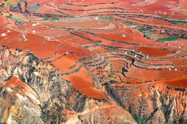 Verdure crescenti della terra rossa in Dong Chuan, Cina