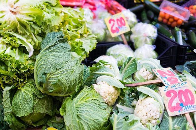 Verdure di cavolo in vendita in un mercato agricolo all'aperto Italia