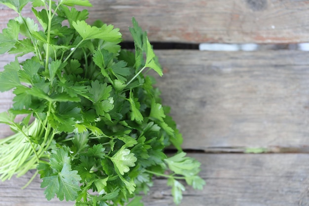 Verdure di prezzemolo Primo piano del prezzemolo Posto per testo