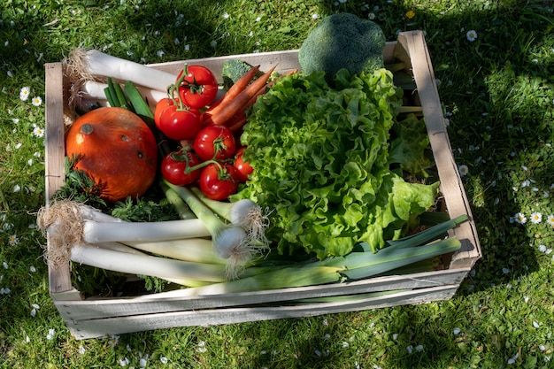 Verdure di stagione in cassetta di legno