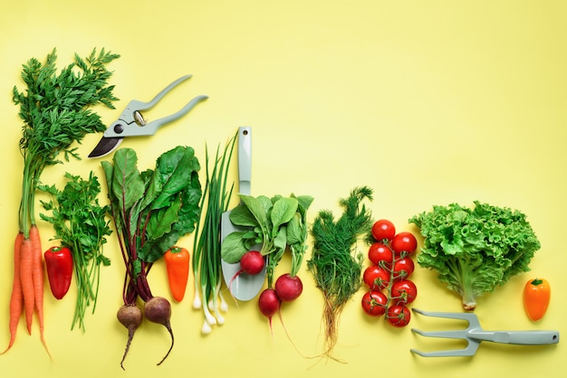 Verdure e strumenti di giardino organici su fondo giallo con lo spazio della copia.