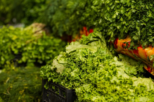 Verdure fresche al mercato degli agricoltori