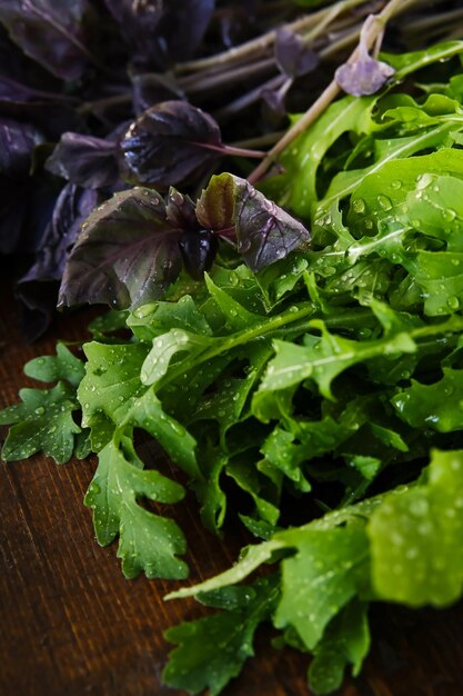 Verdure fresche Basilico fresco prezzemolo rucola menta su uno sfondo di legno Ingredienti per l'insalata