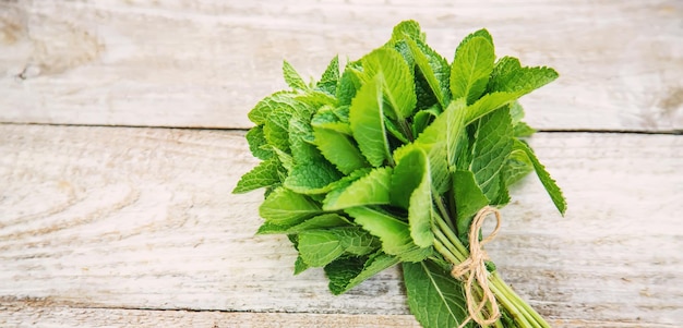 Verdure fresche fatte in casa dal giardino Focusnature selettivo