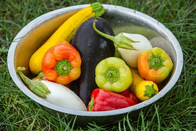 Verdure fresche preparate alla griglia all'esterno.