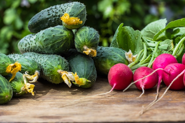 Verdure fresche ravanello sul tavolo. Cibo salutare. Copia spazio avvicinamento