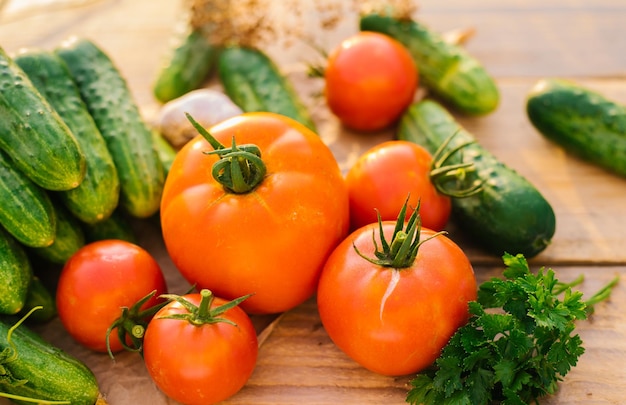 Verdure fresche su uno sfondo di legno Cetrioli pomodori aglio aneto Luce solare sagomata Fattoria biologica Ortaggi biologici Raccolto estivo