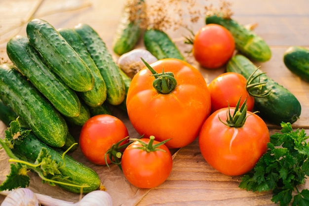 Verdure fresche su uno sfondo di legno Cetrioli pomodori aglio aneto Luce solare sagomata Fattoria biologica Ortaggi biologici Raccolto estivo