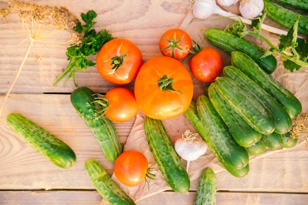 Verdure fresche su uno sfondo di legno Il concetto di mangiare sano Cetrioli pomodori aglio aneto Vista dall'alto