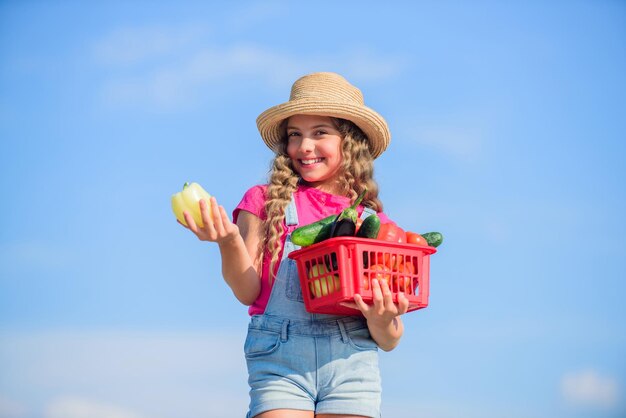 Verdure nel cestino Ragazza adorabile bambino agricoltura Verdure fatte in casa Cibo biologico Giornata di sole in fattoria Nutrizione vitaminica naturale Il bambino porta il raccolto sullo sfondo del cielo Raccolto raccolto Stagione del raccolto