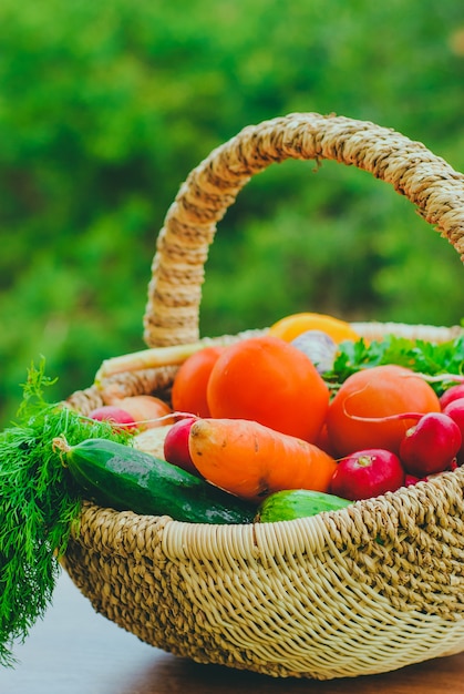 Verdure organiche fresche nel cestino