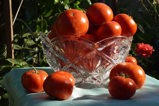 Verdure rosse di pomodoro