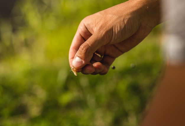 verme su un gancio in una mano. pesca