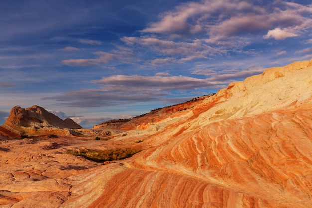 Vermilion Cliffs National Monument Paesaggi all'alba