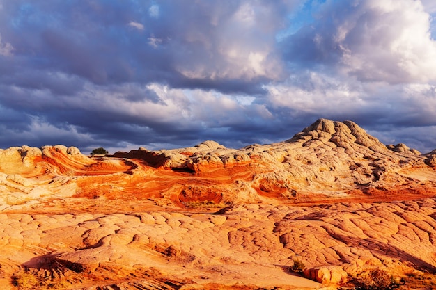 Vermilion Cliffs National Monument Paesaggi all'alba