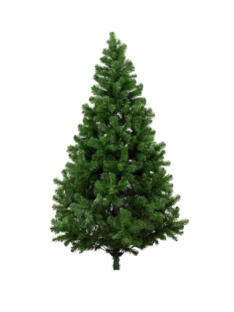 Vero albero di Natale isolato su sfondo bianco