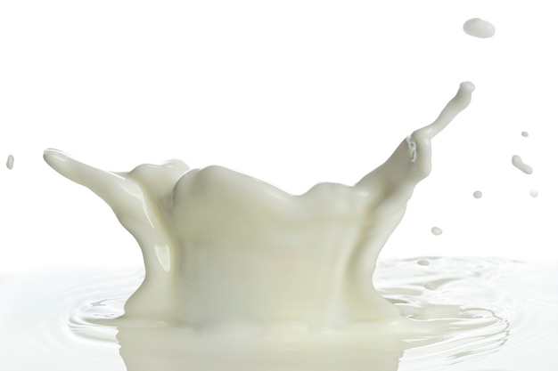 Versamento di spruzzi di latte isolato sfondo bianco