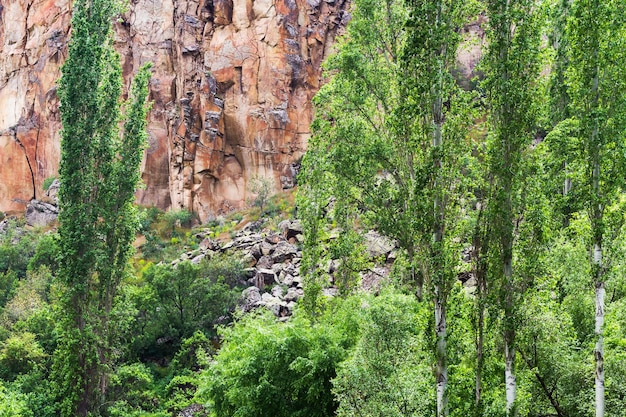 Versante ricoperto di vegetazione della Valle di Ihlara in Cappadocia