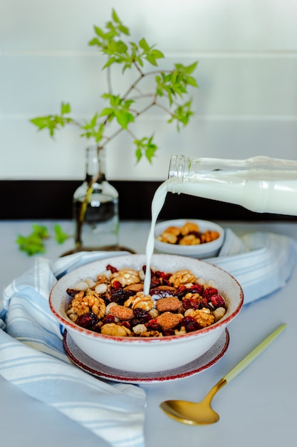 Versare il latte in una ciotola di muesli con noci, cioccolato e mirtilli rossi secchi. Ciotolina con noci, cucchiaio, asciugamano e ramo verde