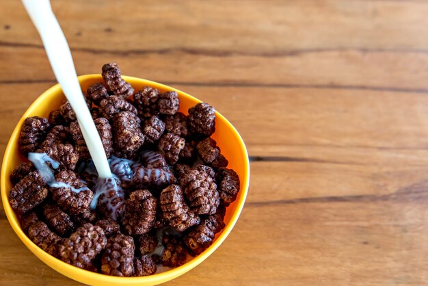 Versare il latte nelle palline di cornflakes al cioccolato Colazione con latte e cornflakes.