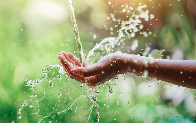 Versare l'acqua a portata di mano sullo sfondo della luce del mattino