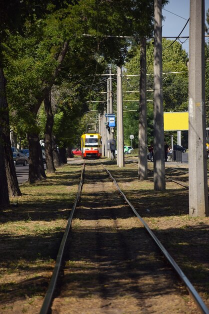 Verso i binari c'è un tram lungo il viale cittadino di alberi e pilastri di cemento