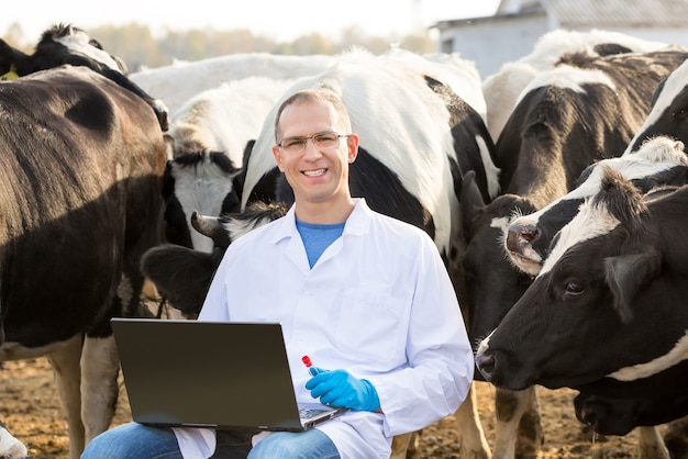 Vet Doctor con laptop e test bio su bovini da allevamento