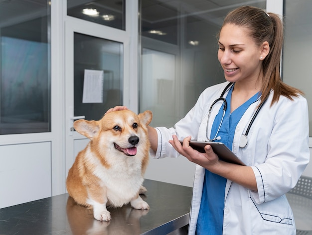 Veterinario che si prende cura di un cane da compagnia