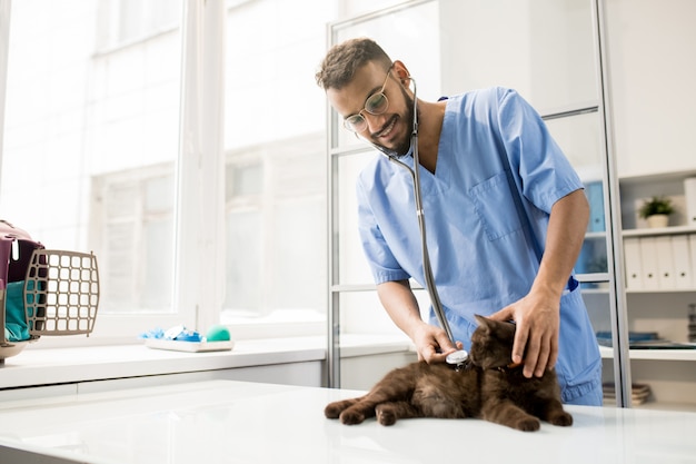 Veterinario esaminando il gatto