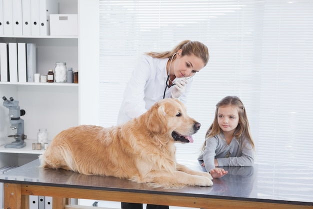 Veterinario felice che controlla un labrador