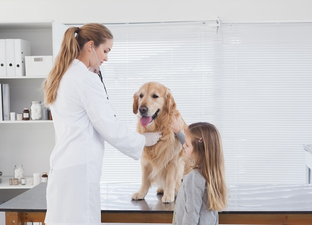 Veterinario felice che controlla un labrador