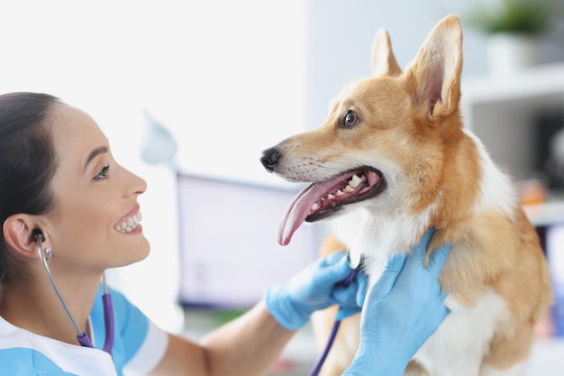 Veterinario femminile che ascolta con lo stetoscopio al cane di razza domestico in clinica medica